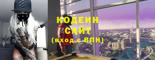 индика Алзамай