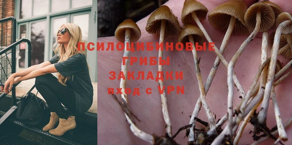 индика Алзамай