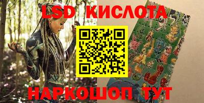 ГАЛЛЮЦИНОГЕННЫЕ ГРИБЫ Кингисепп