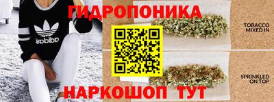соль ск Кинель