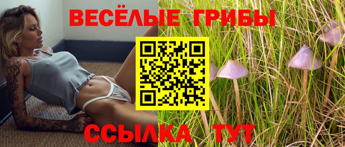 Галлюциногенные грибы мицелий Курчалой