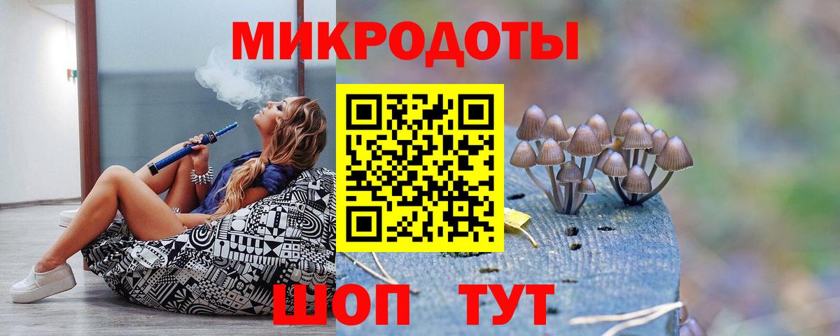 Курчалой  Псилоцибиновые грибы мухоморы  Вход с VPN 