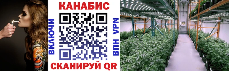 МАРИХУАНА White Widow  где найти наркотики  Курчалой 